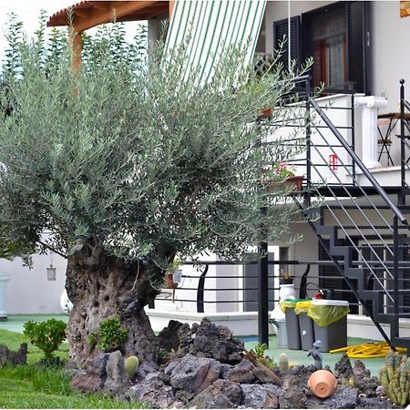 Bed and Breakfast Pompei Gryllus Экстерьер фото