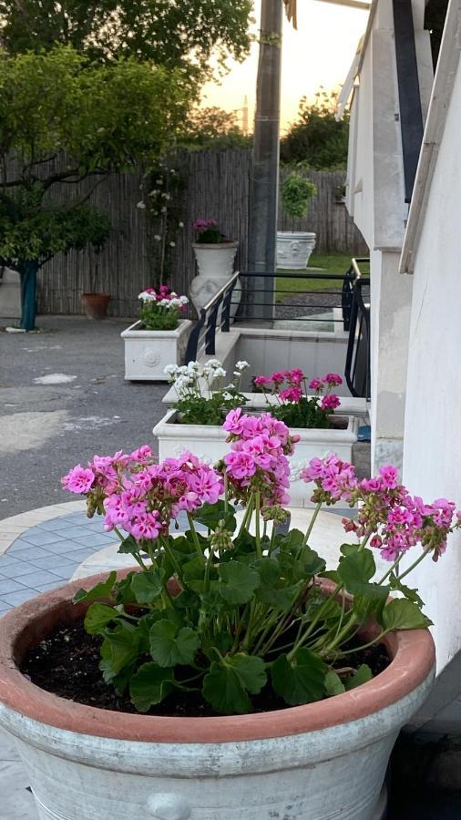 Bed and Breakfast Pompei Gryllus Экстерьер фото