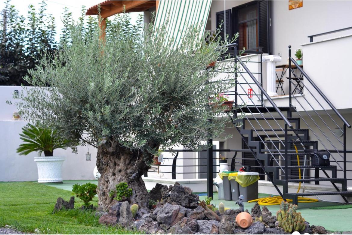 Bed and Breakfast Pompei Gryllus Экстерьер фото